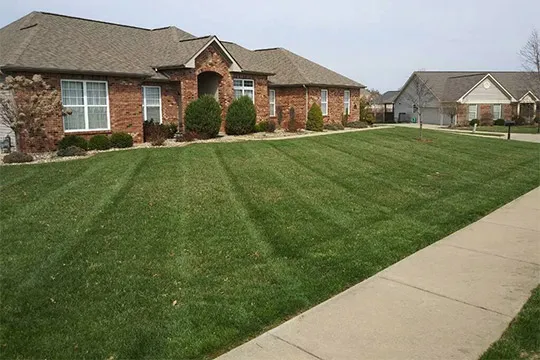 lawn care Scott AFB il