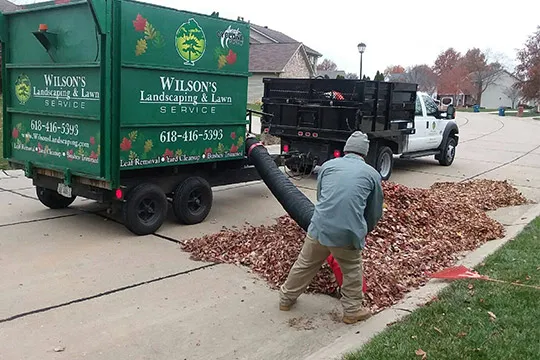 leaf removal Scott AFB il