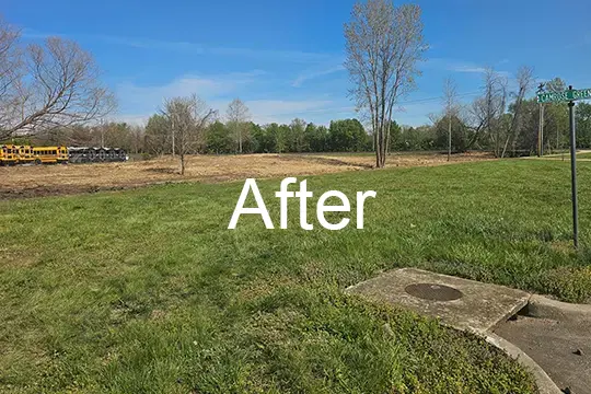 after forest mulch scott afb il